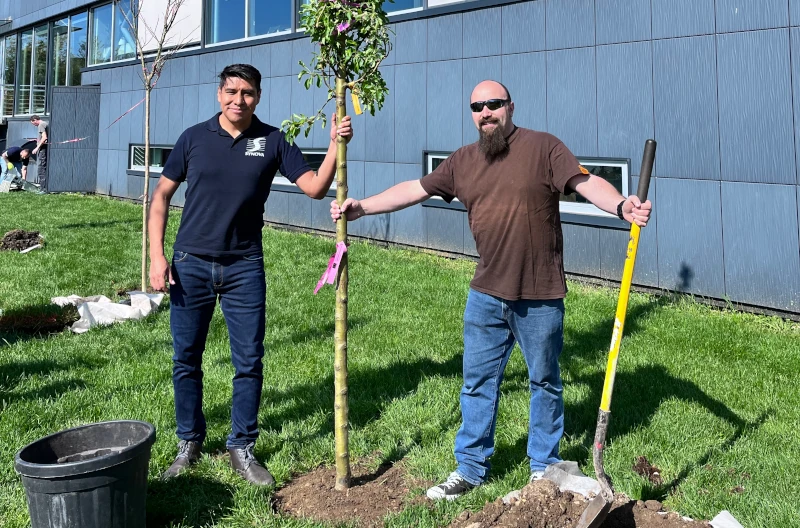 Employees_planting_trees.jpg